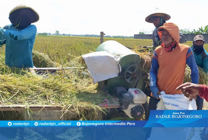 Bantuan Petani Cair Rp 33 Miliar