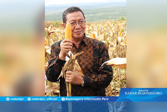 Konsisten Menjaga Lumbung Pangan