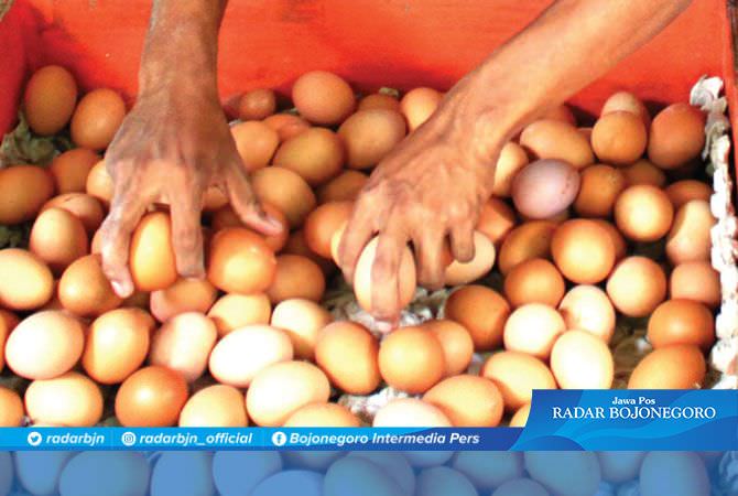 Waspadai Telur Infertil