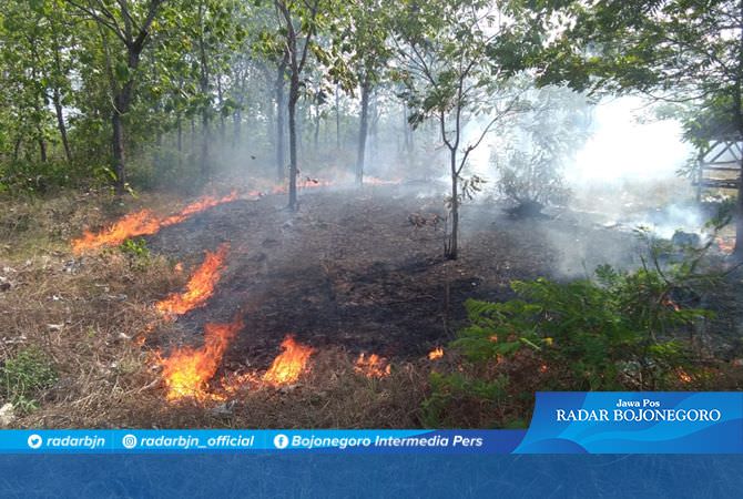 Diduga Karena Puntung Rokok, Lahan Hutan Terbakar