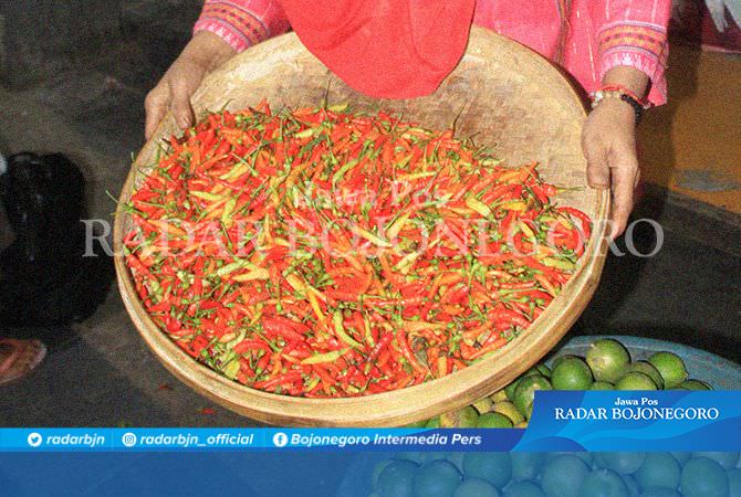 Harga Cabai dan Mayoritas Bumbu Dapur Naik