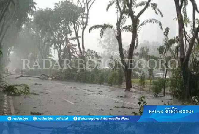 Waspadai Angin Kencang hingga Dua Bulan ke Depan