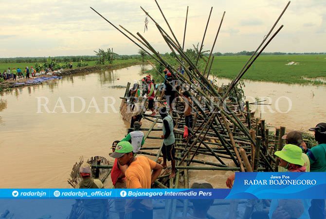 1.983 Hektare Sawah di Kanor dan Baureno Terendam Banjir