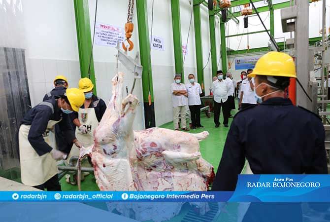 RPH Ruminansia Tuban Memenuhi Daging yang Aman, Sehat, Utuh, dan Halal