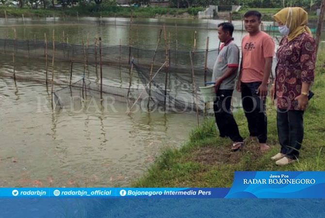 Kecamatan Balen Berpeluang Menjadi Sentra Ikan Koi