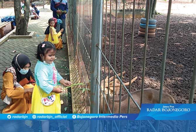 Hewan Peliharaan Pemkab Tuban Hanya Tersisa Rusa