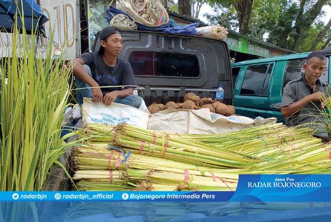 Jelang Malam Nisfu Sya’ban, Penjual Janur Menjamur