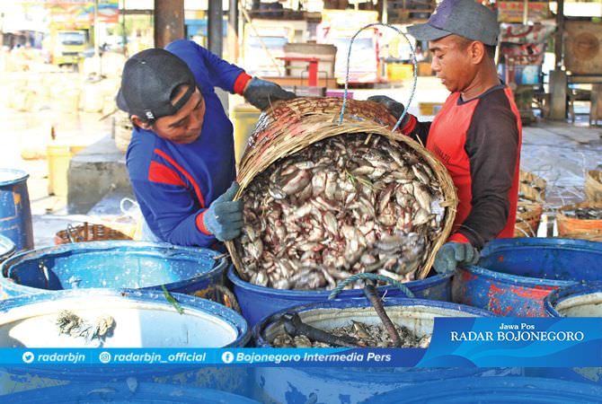 Cold Storage Pasar Ikan Belum Dibangun, Ajukan Anggaran Lagi