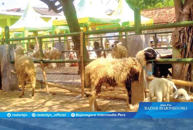 Selain Pasar Sapi Tetap Boleh Buka