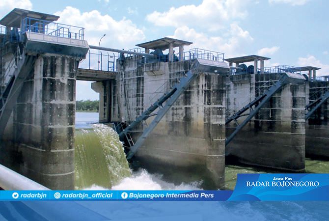 Air Bengawan Solo Tercemar, Banyak Ikan Mati