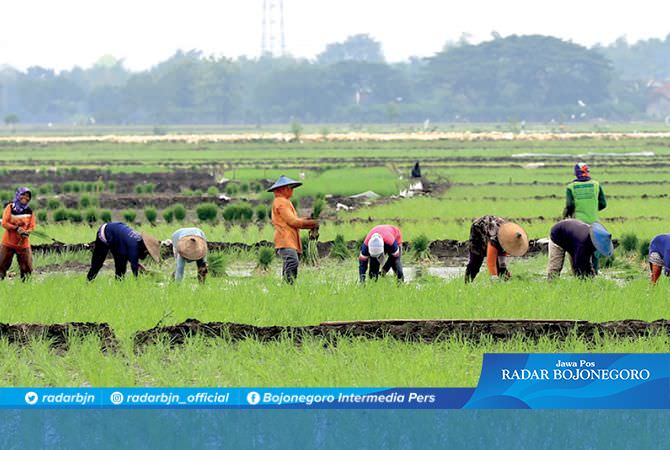 Poduksi Pertanian VS Kesejahteraan Petani