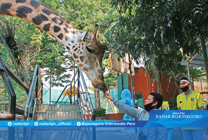 Maharani Zoo Buka Donasi Pakan Satwa