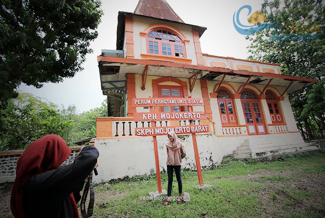 Omah Dhuwur, Nuansa Klasik Jadi Favorit