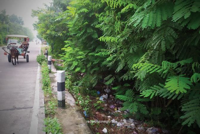 Sampah di Pinggir Hutan Butuh Penanganan