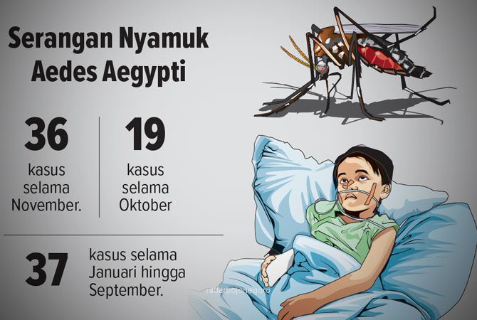 Terjadi Lonjakan Kasus DBD