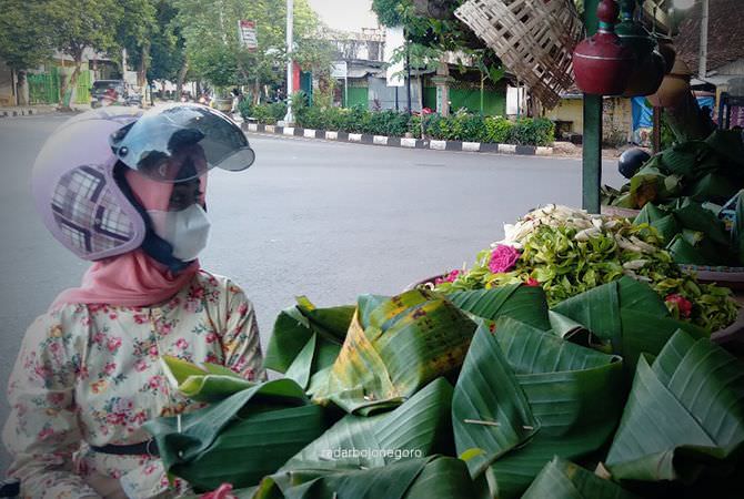 Melirik Potensi Budidaya Bunga Kenanga