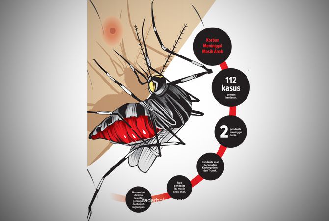 Dua Nyawa Melayang Akibat Demam Berdarah Dengue