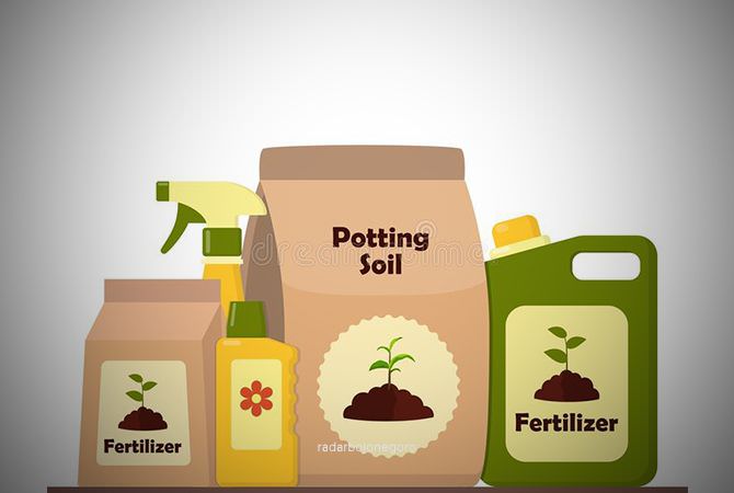 Pupuk ZA dan SP36 Tak Lagi Bersubsidi, Bagaimana Nasib Petani?