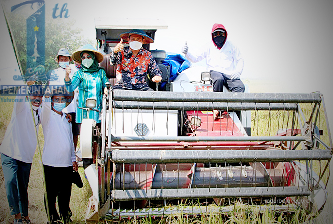 KERJA NYATA: Bupati Yes panen raya padi di Desa Sidomlangean, Kedungpring. (Istimewa For R.Lmg)