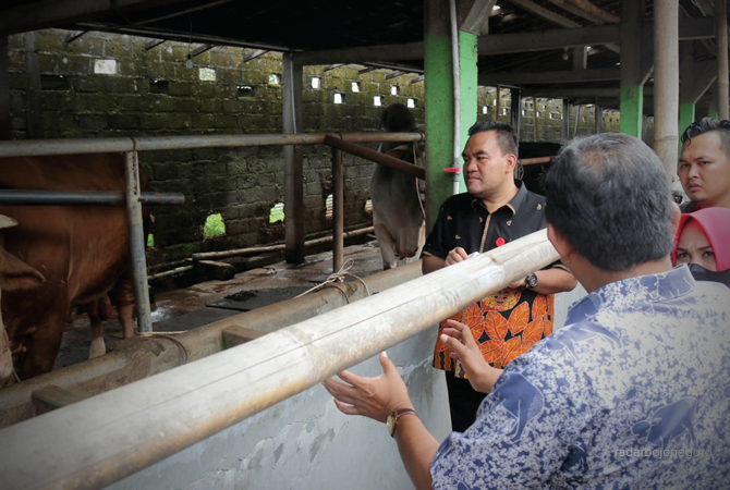 POTENSI DAERAH: Peternakan sapi akan menjadi sektor unggulan Blora. Pemkab akan siapkan peternak milenial. (LUKMAN HAKIM/RDR.BLORA)