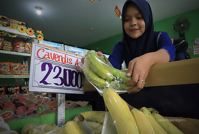 KULIT HALUS: Pengemasan pisang cavendis di toko buah dan minimarket. Buah ini harganya lumayan mahal. (M. Nurcholis/R.Bjn)