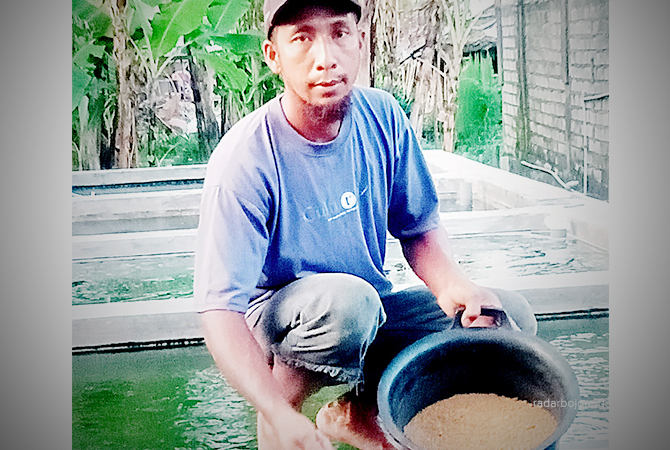 HARGA PAKAN NAIK: Imron memberikan pakan di kolam lelenya. (ISTIMEWA/R.LMG)