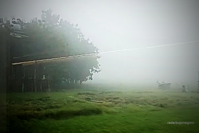 KEJADIAN ALAM: Fenomena kabut tebal di sepanjang areal pertanian Gayam-Kalitidu, Senin pagi (30/5) ini. (Istimewa For RDR.BJN)