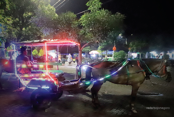 KERETA KUDA: Deretan delman di Taman Rajekwesi. Pak kusir mengajak warga berkeliling Bojonegoro. (M. NURCHOLIS/RDR.BJN)