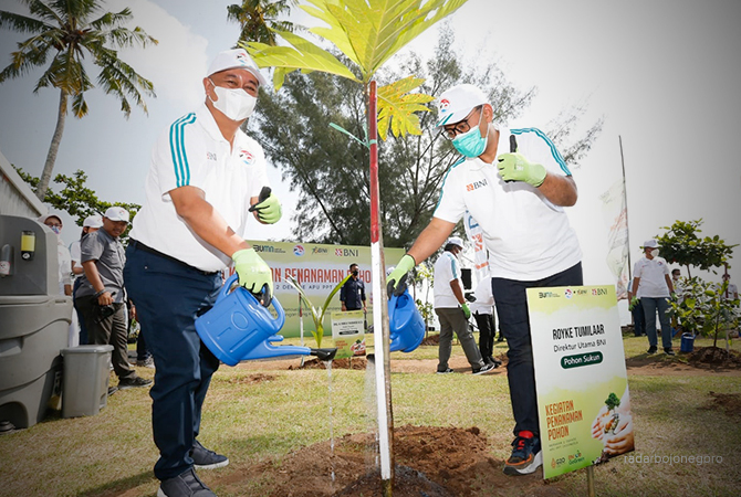 Ilustrasi (Istimewa For RDR.BJN)