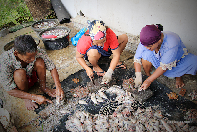 BERHARAP CUACA PANAS: Proses pengolahan dari ikan basah menjadi ikan asin kering. (ANJAR DWI P/RDR.LMG)