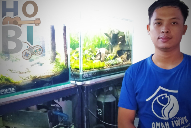 GIGIH: Dimas Pria Andika berbisnis ikan hias sejak Tahun 2014. Kini, honorer SD tersebut merambah bisnis aquascape. (YUAN EDO/RDR.LMG)