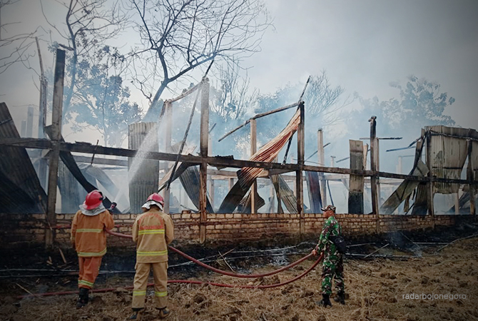 PADAMKAN API: Petugas Damkar Bojonegoro sedang memadamkan kebakaran, musim kemarau rawan terjadi kebakaran. (Istimewa For RDR.BJN)