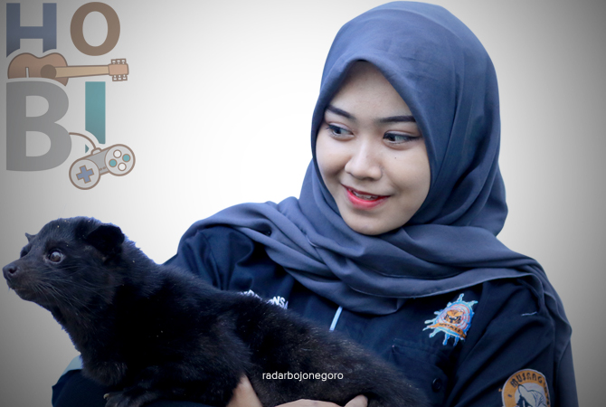 JINAK: Salah satu musang lovers di Lamongan Dea merawat musang sejak Tahun 2019. (ANJAR DWI PRADIPTA/RDR.LMG)
