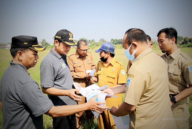 TINJAU LANGSUNG: Bupati Yes bersama OPD terkait meninjau lokasi Lapangan Gajahmada, yang akan dibangun training ground mulai hari ini (29/8). (ANJAR DWI PRADIPTA/RDR.LMG)