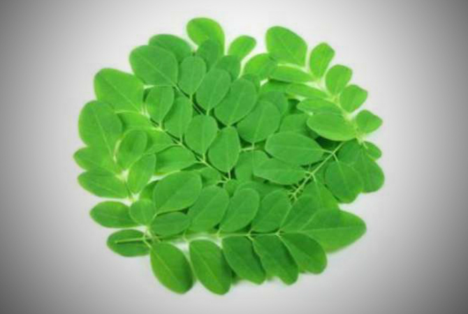 ILustrasi (Istimewa For RDR.BJN)