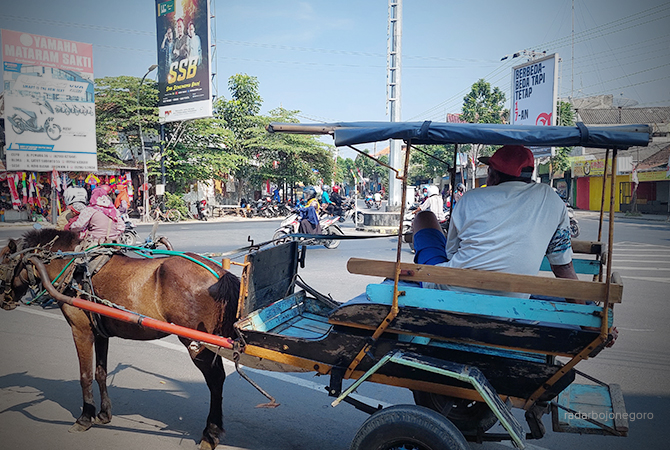TETAP BERTAHAN: Kusir delman di Tuk Buntung Cepu sedang menunggu penumpang. Untuk memertahankan eksistensinya beralih sebagai transportasi wisata. (Lukman Hakim/RDR.Blora)
