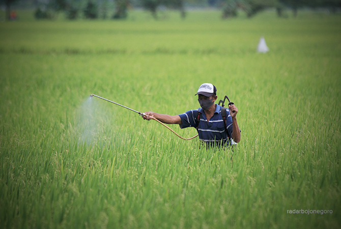 (ANJAR DWI PRADIPTA/RDR.LMG)