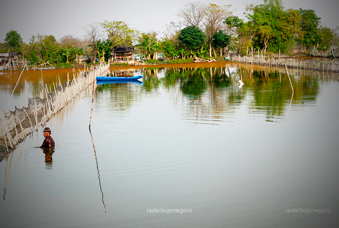 KURANGI LIMBAH AMONIAK:  Petambak mengangkat tanah di dasar tambak ke galengan. (AHMAD ASIP ALAFI/RDR.LMG)