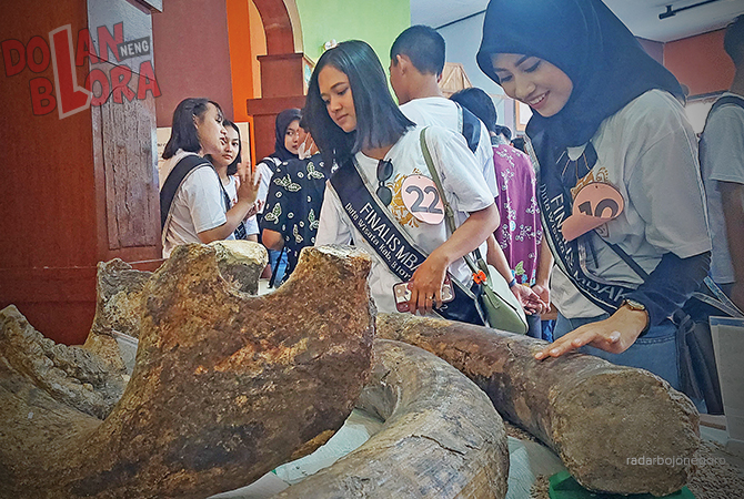 MUSEUM: Fosil gajah purba menjadi koleksi Rumah Artefak Blora. Bangunan di selatan Alun-Alun Blora ini menyimpan 306 benda purbakala yang menjadi aset wisata edukasi. Blora menyimpan peradaban masa lampau. (LUKMAN HAKIM/RDR.BLora)