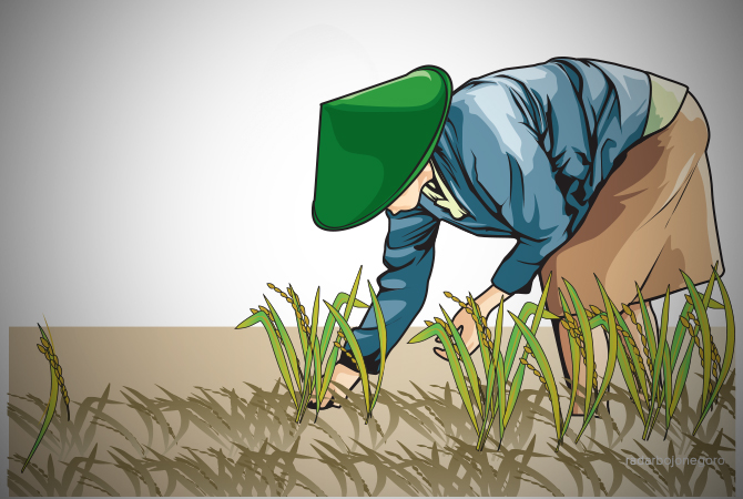 ILustrasi (Ainur Ochiem/RDR.BJN)