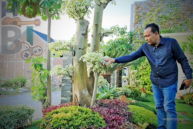 MENYEJUKKAN MATA: Taman di pekarangan rumah Ari Cahyo Utomo dipenuhi dengan berbagai tanaman. (ANJAR DWI PRADIPTA/RDR.LMG)