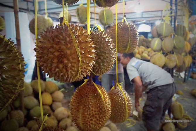 AROMA: Deretan durian digelar di Gor Bojonegoro kemarin. Durian didatangkan dari berbagai daerah. (M. Nurkozim/RDR.BJN)