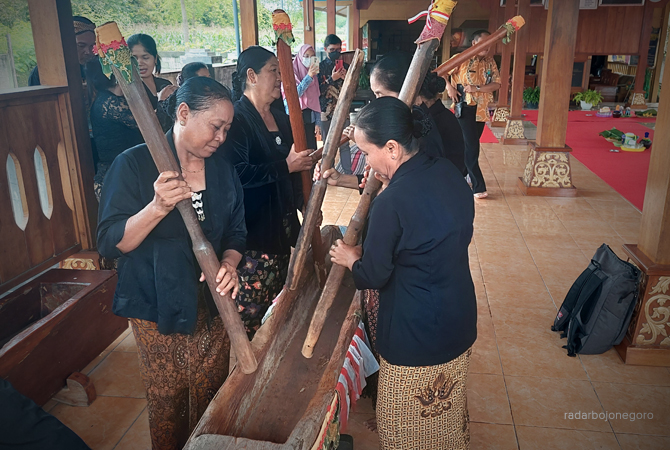 BUDAYA: Perempuan di Sedulur Sikep Samin Sambongrejo, Blora, memainkan seni lesung saat menyambut tamu. (LUKMAN HAKIM/ RDR.BJN)