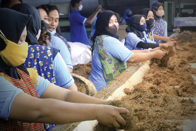 PENENTUAN UPAH: Karyawan pabrik rokok di Kecamatan Kapas. Buruh berharap UMK tahun depan naik banyak karena ada dampak BBM naik. (M. NURKOZIM/RDR.BJN)