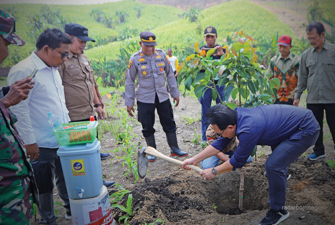 AYO MENANAM: Kepala Dinas Kehutanan Jatim Jumadi menanam alpukat. Tanam pohon beri sejuta manfaat. (Ahmad Al Fatih/RDR.BJN)