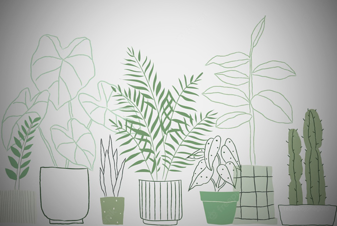 Ilustrasi (Istimewa For RDR.LMG)