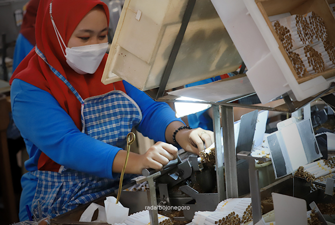 SEKTOR TEMBAKAU: Pekerja pelintingan rokok banyak menyerap tenaga kerja.(M. Nurcholis/RDR.BJN)