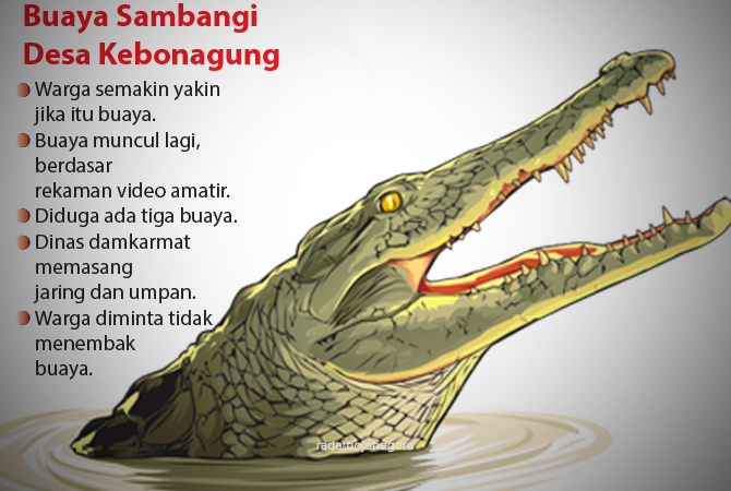 ILustrasi (Ainur Ochiem/RDR.BJN)