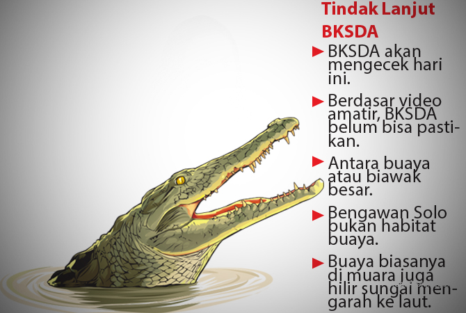 ILustrasi (Ainur Ochiem/RDR.BJN)