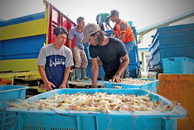 HARGA TURUN: Udang yang hendak diangkut menggunakan truk. (ANJAR DWI PRADIPTA/RDR.LMG)